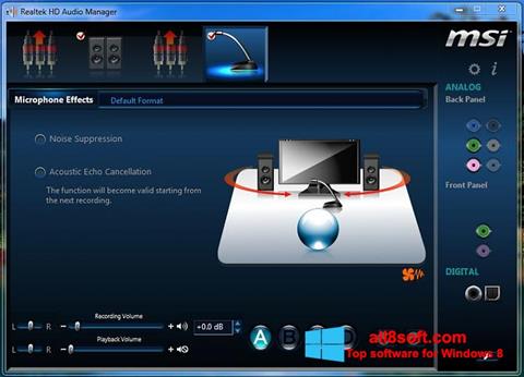Képernyőkép Realtek Audio Driver Windows 8