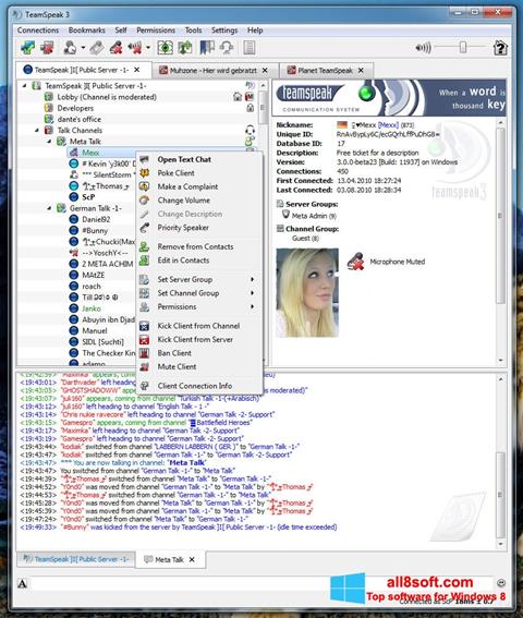 Képernyőkép TeamSpeak Windows 8