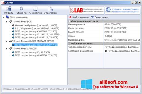 Képernyőkép R.saver Windows 8