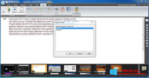 Képernyőkép Snagit Windows 8