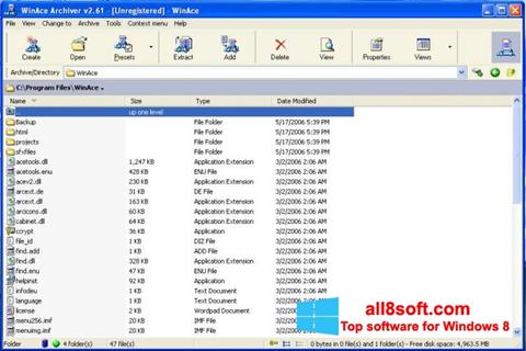 Képernyőkép WinAce Windows 8