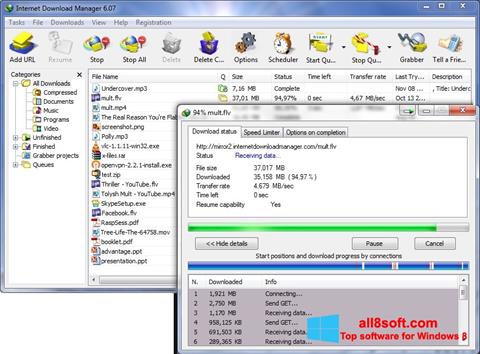 Képernyőkép Internet Download Manager Windows 8