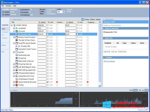 Képernyőkép NetLimiter Windows 8