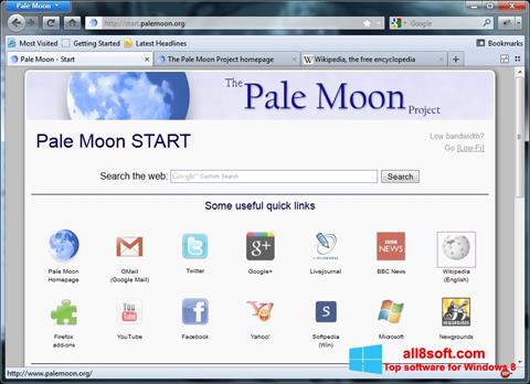 Képernyőkép Pale Moon Windows 8