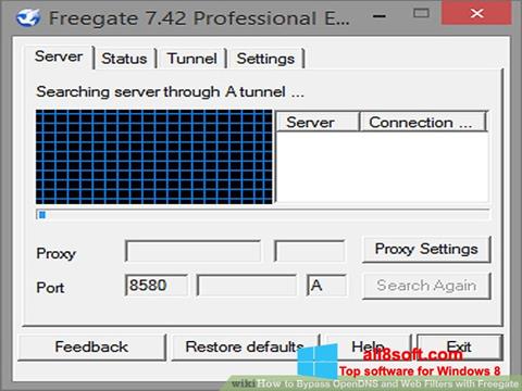 Képernyőkép Freegate Windows 8