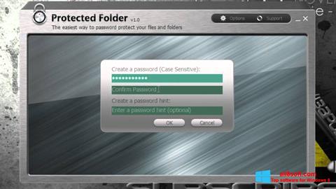 Képernyőkép Protected Folder Windows 8