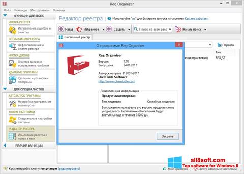 Képernyőkép Reg Organizer Windows 8