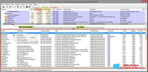 Képernyőkép Process Explorer Windows 8