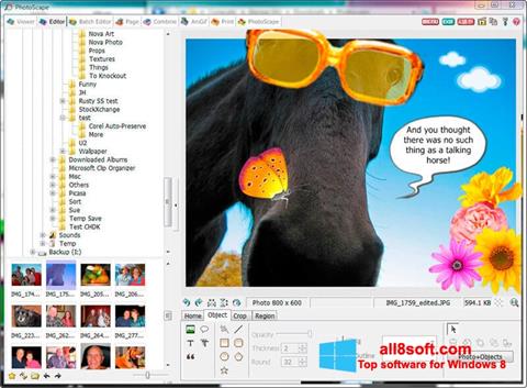 Képernyőkép PhotoScape Windows 8